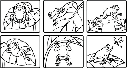 Obraz premium Frogs on leaves line art vector illustration showing playful rainforest frogs in collection