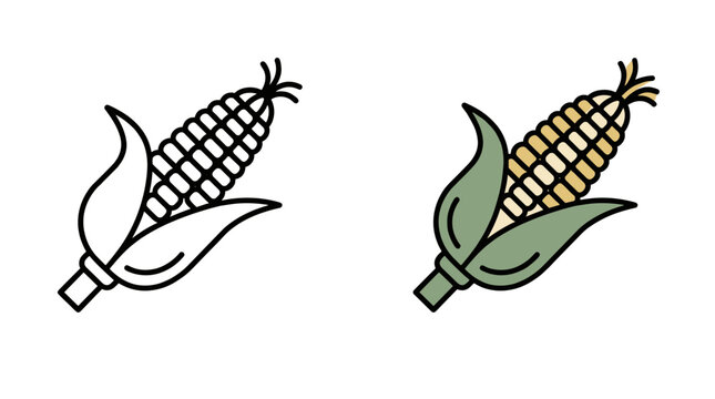 Illustration of corn on the cob depicting agriculture harvest fresh produce and healthy eating
