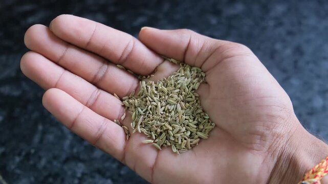 Close-up of a hand holding a handful of fennel seeds (saunf).
