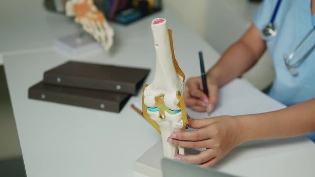 Doctor Examining Anatomical Knee Joint Model at Medical Desk with Stethoscope in Healthcare Clinic 4k