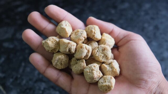 Close-up of a hand holding a handful of raw soy chunks (texturized vegetable protein