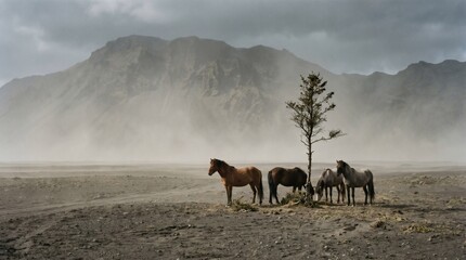 Obraz premium Wild horses stand in a dusty, barren landscape with a lone tree and mountains in the background.