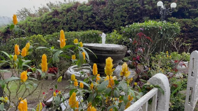 static shot of a rustic stone water fountain surrounded by yellow flowering plants in a garden