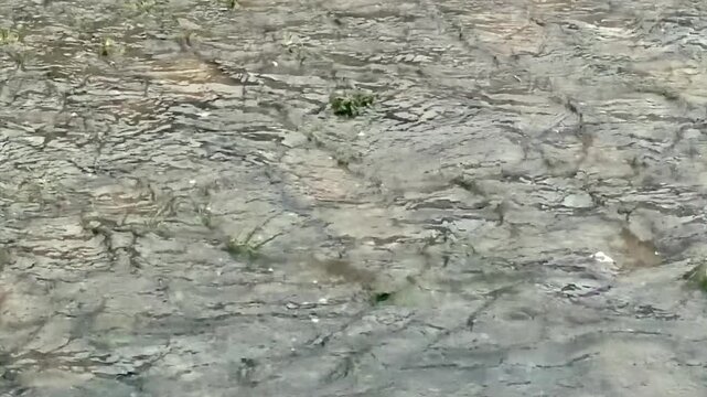 heavy rain creating ripples and flowing water on a wet stone street during a storm