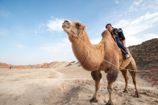 Young woman riding a camel, Zhangye, Gansu, China