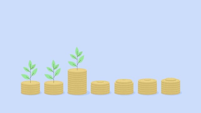 Stacks of gold coins growing alongside green money plants chart flat 2D animation vector motion graphics financial investment savings loop