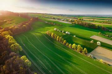 Opole- Góra św. Anny - Opole © Radosław Dybała