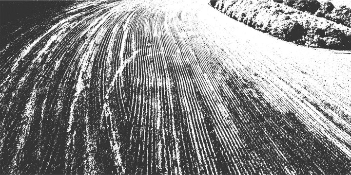 Black and white textured plowed field with parallel furrows and distant trees soil earth