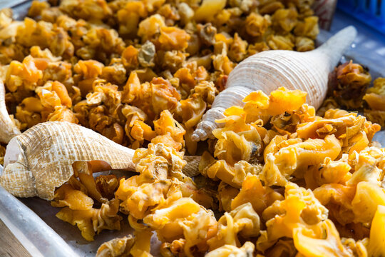Dried seafood conch meat in street market