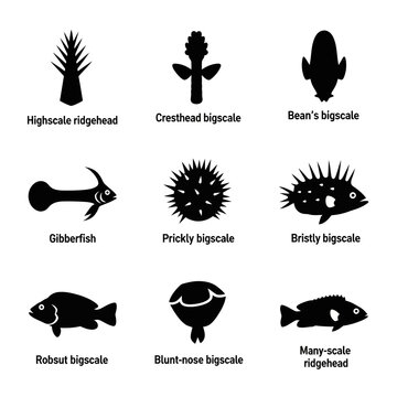 Melamphaidae Fish Fossil Specimen Isolated Ancient Marine Creature Illustration