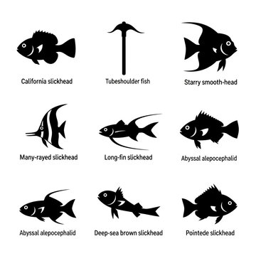GenWhite Alepocephalidae Fish Isolated Transparent Background