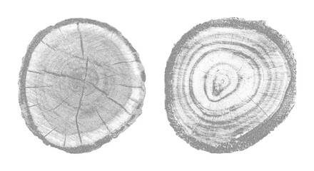 Obraz premium Natural wood texture with tree ring pattern set. Cross-section showing organic growth lines stippled circular grain structure vector illustration. Perfect for forest-themed design wooden background.