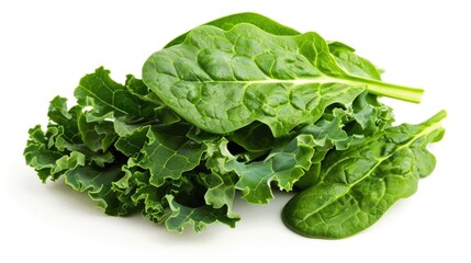 Fototapeta premium A vibrant bunch of fresh raw kale and spinach leaves showcasing their textures and natural green color isolated on a seamless white background for a healthy food concept