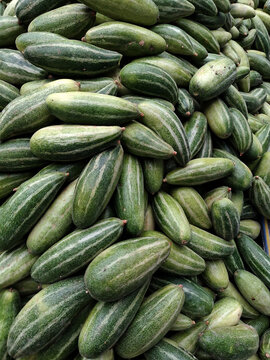 Fresh Pointed Gourd (Parwal) Pile at Local Vegetable Market Organic Green Vegetable Background