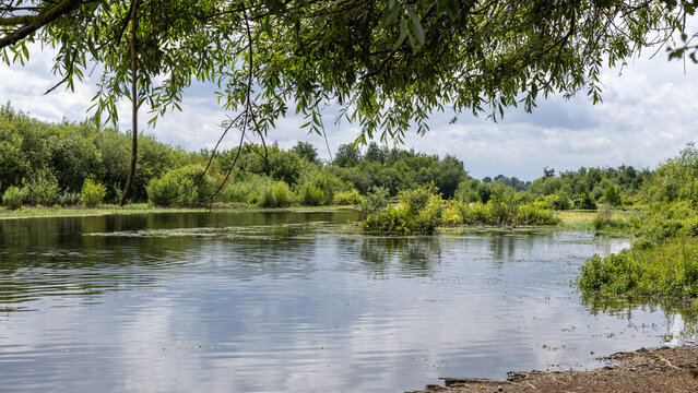 Molenplas protected area near Stevensweert, part of the Maas valley river park on the Netherlands Belgium border, designed for water storage and nature restoration
