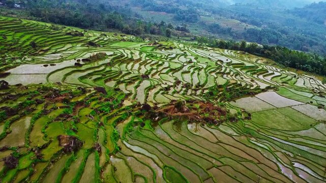Panoramic high-angle aerial view of vibrant green rice terraces and limestone mountains in Pu Luong, Vietnam, showcasing stunning rural scenery.

