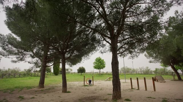 Outdoor recreational area surrounded by pine trees on an overcast day, girl walking near a jumping ring and wooden ramp with a small puppy