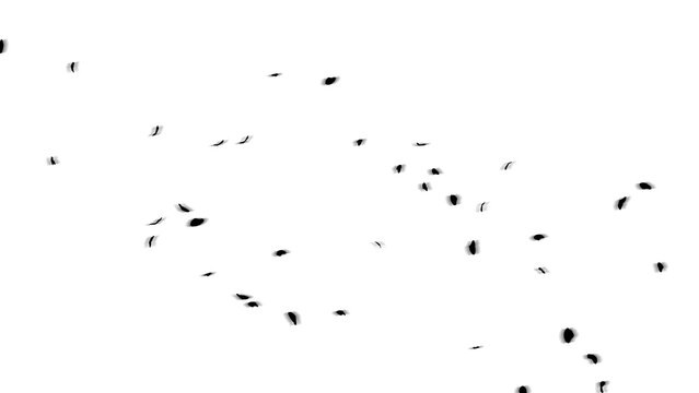 Fluttering leaves, fluttering leaves white background, fluttering leaf effect, fluttering leaves, leaves, leaf, leaf effect, simple effect white background