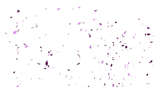 Fluttering purple leaves 3d, fluttering leaves white background, fluttering purple leaf effect 3d, fluttering leaves, leaves, leaf, purple leaf effect, simple effect white background