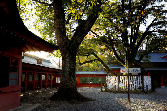 Traditional Shrine Courtyard at Fujisan Hongu Sengen Taisha in Japan