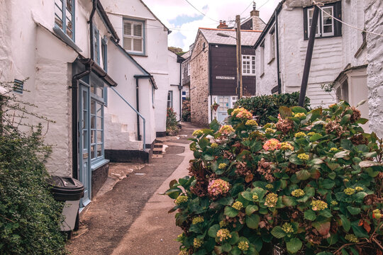 garden and old houses street in  village Port Isaac, Cornwall, UK