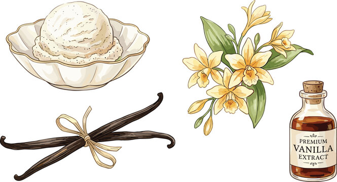 Gourmet Vanilla Flavor Illustration Set Featuring Bean Pods Tied with Twine, Orchid Flowers, Premium Liquid Extract Bottle, and Bean Speckled Ice Cream Scoop