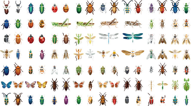 Vector cartoon mega icon set of diverse insects bugs beetles butterflies and flies isolated on white background