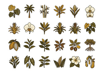 Tropical Plant Collection of Indonesia © Fadhlurrahman