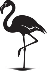 Obraz premium Flamingo standing on one leg in water reflection elegant tropical bird silhouette design.