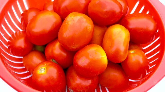 Fresh ripe red tomatoes in red colander food vegetable organic cooking kitchen food vegetable organic cooking kitchen