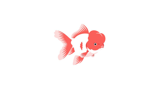 Cute Goldfish Illustration, Red and White Tropical Fish Swimming, Isolated