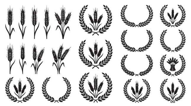 Collection of hand drawn wheat ears and wreath floral elements with agriculture botanical ornament