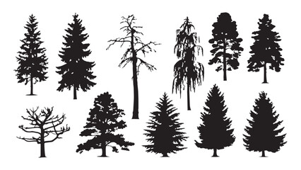 Collection of various detailed black tree silhouettes isolated on a transparent background. © Sara Studio