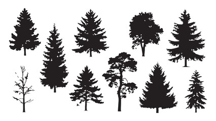 Set of black silhouettes of coniferous and deciduous trees isolated on transparent background. © Sara Studio