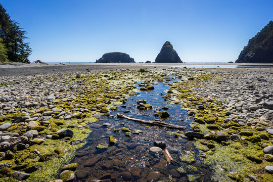 Whaleshead Beach On The Southern Oregon Coast