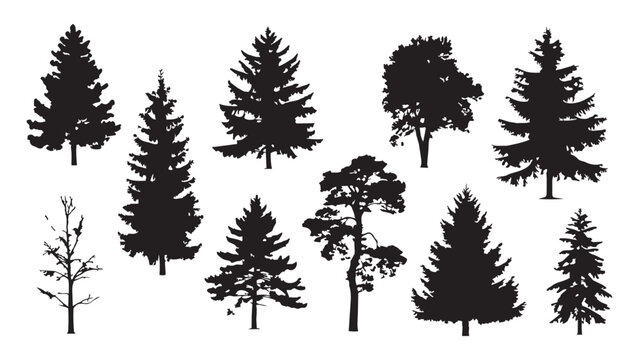 Set of black silhouettes of coniferous and deciduous trees isolated on transparent background.