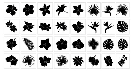 Close up of tropical hibiscus and palm leaf silhouettes in black and white with varied flower shapes and textures artistic botanical design for nature and floral themes © Pabitra