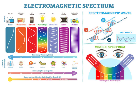 Electromagnetic spectrum illustration, transparent background. Flat tiny frequencies range persons concept. Educational graphic with radio, infrared, ultraviolet, Xrays,