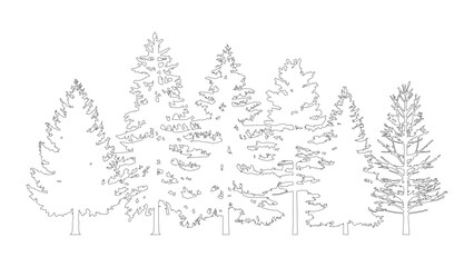 Group of coniferous trees outline illustration for nature scene vector art. © Sara Studio