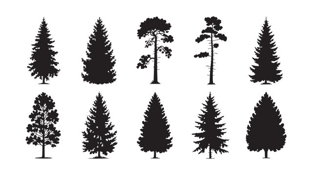 Set of realistic tree silhouettes for nature design projects and outdoor illustration.