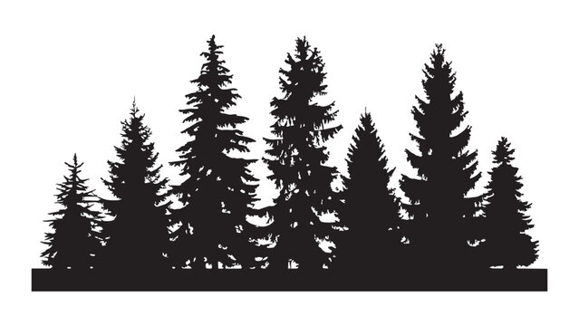 Detailed group of black fir tree silhouettes for forest background and nature design art.