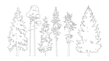 Set of outline coniferous tree sketches for forest landscape design and decorative icons. © Sara Studio