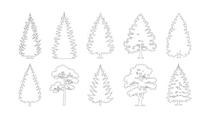 Collection of various coniferous tree line art icons for nature projects and illustration. © Sara Studio
