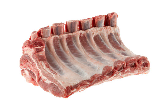 A raw rack of lamb meat with visible bones and red muscle tissue, presented on a transparent background, for culinary and, food industry projects