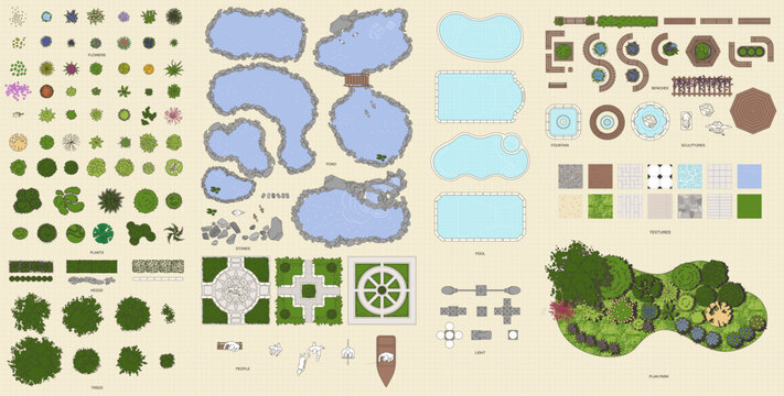 Park plant in top view