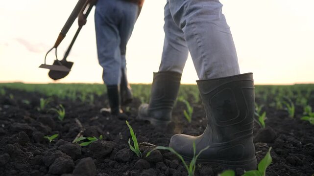 Two workers, a man and a woman, are in a field planting crops. The man uses a shovel while the woman uses a hoe in the sunny agricultural landscape.