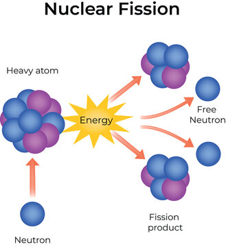 Nuclear Fission Design Vector