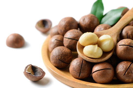Macadamia Nuts and Kernels on Wooden Spoon with Copy Space