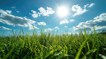 Obraz premium A patch of fresh green grass under a sunny sky, symbolizing the simplicity and purity of living a healthy life