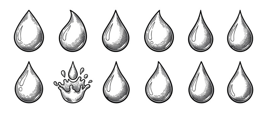 Black and white water drop illustrations rendered in a vintage engraving style with detailed hatching and cross-hatching, including a dynamic splash element among the teardrop shapes